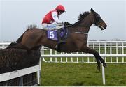 17 March 2020; Fine Theatre, with Sean O'Keeffe up, jump the last on their way to winning The Arctic Tack Stud Veterans Handicap Steeplechase at Wexford Racecourse in Carricklawn, Wexford. Photo by Matt Browne/Sportsfile