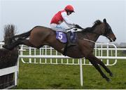 17 March 2020; Fine Theatre, with Sean O'Keeffe up, jump the last on their way to winning The Arctic Tack Stud Veterans Handicap Steeplechase at Wexford Racecourse in Carricklawn, Wexford. Photo by Matt Browne/Sportsfile