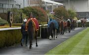 17 March 2020; A general view of horses in the parade ring with no spectators during the race meeting at Down Royal in Lisburn, Co Down. Photo by Oliver McVeigh/Sportsfile