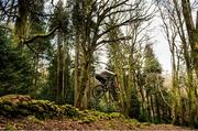 19 March 2020; Enduro mountain bike rider, Greg Callaghan, during a gym session at his home in Dublin. He is currently training at home, following the postponement of the opening two rounds of the Enduro World Series, in Columbia and Chile. Photo by Ramsey Cardy/Sportsfile