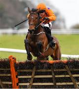 21 March 2020; My Newbrook Rose, with Jonathan Moore up, jump the last on their way to winning The BetVictor Handicap Hurdle at Thurles Racecourse in Tipperary. Photo by Matt Browne/Sportsfile