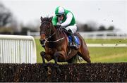 21 March 2020; Zero Ten, with David Mullins up, jumps the last on their way to winning the Pierce Molony Memorial Novice Steeplechase at Thurles Racecourse in Tipperary. Photo by Matt Browne/Sportsfile