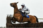 21 March 2020; Well Joey, with Darragh O'Keeffe up, jump the last on their way to winning The Duggan Veterinary Handicap Steeplechase at Thurles Racecourse in Tipperary. Photo by Matt Browne/Sportsfile
