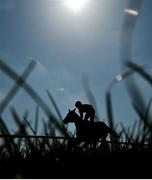 22 March 2020; I'm On Snap, with Gearoid Patrick Brouder up, during the Connolly's RED MILLS Irish EBF Auction Maiden Hurdle at Downpatrick Racecourse in Downpatrick, Down. Photo by Ramsey Cardy/Sportsfile