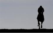 22 March 2020; Capture The Drama, with Eoin Mahon up, make their way to post ahead of the Tote Supporting Downpatrick Racecourse Handicap Steeplechase at Downpatrick Racecourse in Downpatrick, Down. Photo by Ramsey Cardy/Sportsfile