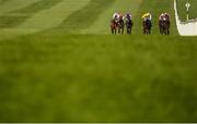 23 March 2020; A view of the field during the Irish Stallion Farms EBF Maiden at Naas Racecourse in Naas, Co Kildare. Photo by Seb Daly/Sportsfile