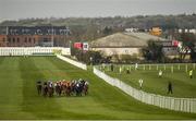 23 March 2020; A view of the field during the Naas Nursery Of Champions Maiden at Naas Racecourse in Naas, Co Kildare. Photo by Seb Daly/Sportsfile