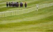 23 March 2020; A view of the field during the Irish Stallion Farms EBF Maiden at Naas Racecourse in Naas, Co Kildare. Photo by Seb Daly/Sportsfile