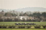 23 March 2020; A view of the field during the Irish Stallion Farms EBF Maiden at Naas Racecourse in Naas, Co Kildare. Photo by Seb Daly/Sportsfile