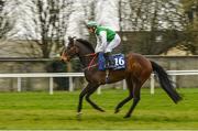 23 March 2020; Thekeyisnottopanic, with Rory Cleary up, goes to post ahead of the Irish Stallion Farms EBF Maiden at Naas Racecourse in Naas, Co Kildare. Photo by Seb Daly/Sportsfile