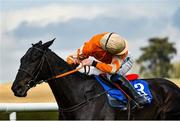 24 March 2020; Jockey Donagh Meyler looks back for the field on his way to winning the Money Back On The BoyleSports App Maiden Hurdle on Farmix at Clonmel Racecourse in Clonmel, Tipperary. Photo by Seb Daly/Sportsfile