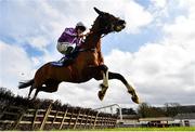 24 March 2020; Cosa Ban, with Luke Dempsey up, jumps the last on their way to winning the Play Lotto On The BoyleSports App Maiden Hurdle at Clonmel Racecourse in Clonmel, Tipperary. Photo by Seb Daly/Sportsfile