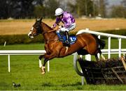 24 March 2020; Cosa Ban, with Luke Dempsey up, jumps the last on their way to winning the Play Lotto On The BoyleSports App Maiden Hurdle at Clonmel Racecourse in Clonmel, Tipperary. Photo by Seb Daly/Sportsfile