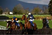 24 March 2020; Mutadaffeq, centre, with Jonathan Moore up, jumps the last alongside eventual second place Bitsandpieces, left, with Simon Torrens up, on their way to winning the Live Streaming On The BoyleSports App Beginners Steeplechase at Clonmel Racecourse in Clonmel, Tipperary. Photo by Seb Daly/Sportsfile