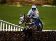 24 March 2020; Bachasson, with Paul Townend up, jumps the last on their way to winning the Download The BoyleSports App Steeplechase at Clonmel Racecourse in Clonmel, Tipperary. Photo by Seb Daly/Sportsfile