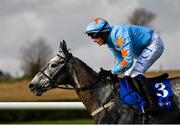 24 March 2020; Bachasson, with Paul Townend up, on their way to winning the Download The BoyleSports App Steeplechase at Clonmel Racecourse in Clonmel, Tipperary. Photo by Seb Daly/Sportsfile