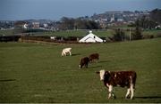 22 March 2020; A general view of Downpatrick Racecourse in Downpatrick, Down. Photo by Ramsey Cardy/Sportsfile