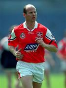7 May 2000; Stephen Melia of Louth during the Church & General National Football League Division 2 Final between Louth and Offaly at Croke Park in Dublin. Photo by Ray McManus/Sportsfile