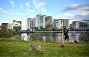 7 May 2020; Irish Olympic Marathon Runner Stephen Scullion during a training session with his dog Nala the Weimaraner at the Titanic Quarter in Belfast, Northern Ireland. Photo by David Fitzgerald/Sportsfile