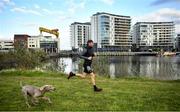 7 May 2020; Irish Olympic Marathon Runner Stephen Scullion during a training session with his dog Nala the Weimaraner at the Titanic Quarter in Belfast, Northern Ireland. Photo by David Fitzgerald/Sportsfile