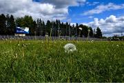 10 May 2020; A general view of dandelions growing on the Avantcard Páirc Seán MacDiarmada pitch on the afternoon of the Connacht GAA Football Senior Championship Quarter-Final match between Leitrim and Mayo at Avantcard Páirc Seán MacDiarmada in Carrick-on-Shannon, Leitrim. This weekend, May 9 and 10, was due to be the first weekend of games in Ireland of the GAA All-Ireland Senior Championship, beginning with provincial matches, which have been postponed following directives from the Irish Government and the Department of Health in an effort to contain the spread of the Coronavirus (COVID-19). The GAA have stated that no inter-county games will take place before October 2020. Photo by Piaras Ó Mídheach/Sportsfile