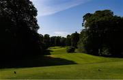 28 May 2020; The 14th tee box at Mount Juliet Golf Club on the date that would have been the first round of the 2020 Dubai Duty Free Irish Open Golf Championship, part of the European Tour's Rolex Series. The European Tour have also today announced the resumption of the 2020 schedule and The Rolex Series, but it does not include a new date for the 2020 Irish Open. The event was postponed in March by the European Tour due to the Irish Government having suspended all sporting activity in an effort to contain the spread of the Coronavirus (COVID-19) pandemic. Golf clubs in the Republic of Ireland were allowed to resume activity on May 18th under the Irish Government’s Roadmap for Reopening of Society and Business following strict protocols of social distancing and hand sanitisation among others allowing it to return in a phased manner. Photo by Matt Browne/Sportsfile