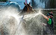 2 June 2020; Mick Cleary washes down Romantically during a feature on the yard of race horse trainer and former Kildare GAA footballer Willie McCreery at Rathbride Stables in Kildare. Horse racing has been suspended due to the Irish Government's efforts to contain the spread of the Coronavirus (COVID-19) pandemic. Horse Racing in the Republic of Ireland is allowed to resume racing on June 8th under the Irish Government’s Roadmap for Reopening of Society and Business following strict protocols of social distancing and hand sanitisation among others allowing it to return in a phased manner. Photo by Ramsey Cardy/Sportsfile