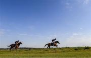 2 June 2020; Horses from the yard of race horse trainer and former Kildare GAA footballer Willie McCreery on the gallops at the Curragh in Kildare. Horse racing has been suspended due to the Irish Government's efforts to contain the spread of the Coronavirus (COVID-19) pandemic. Horse Racing in the Republic of Ireland is allowed to resume racing on June 8th under the Irish Government’s Roadmap for Reopening of Society and Business following strict protocols of social distancing and hand sanitisation among others allowing it to return in a phased manner. Photo by Ramsey Cardy/Sportsfile