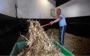 2 June 2020; Yardman John Breen cleans the stables during a feature on the yard of race horse trainer and former Kildare GAA footballer Willie McCreery at Rathbride Stables in Kildare. Horse racing has been suspended due to the Irish Government's efforts to contain the spread of the Coronavirus (COVID-19) pandemic. Horse Racing in the Republic of Ireland is allowed to resume racing on June 8th under the Irish Government’s Roadmap for Reopening of Society and Business following strict protocols of social distancing and hand sanitisation among others allowing it to return in a phased manner. Photo by Ramsey Cardy/Sportsfile