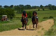 4 June 2020; Jockey Gary Halpin, right, and Neil Ryan on the gallops at the yard of horse racing trainer Kevin Prendergast in Firarstown in Kildare. Horse racing is due to return to Ireland behind closed doors on June 8, after racing was suspended in an effort to contain the spread of the Coronavirus (COVID-19) pandemic. Photo by Harry Murphy/Sportsfile