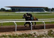 4 June 2020; Jockey Gary Halpin riding Territories on the gallops at The Curragh in Kildare. Horse racing is due to return to Ireland behind closed doors on June 8, after racing was suspended in an effort to contain the spread of the Coronavirus (COVID-19) pandemic. Photo by Harry Murphy/Sportsfile