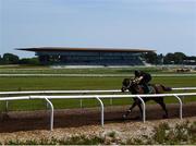 4 June 2020; Jockey Gary Halpin riding Territories on the gallops at The Curragh in Kildare. Horse racing is due to return to Ireland behind closed doors on June 8, after racing was suspended in an effort to contain the spread of the Coronavirus (COVID-19) pandemic. Photo by Harry Murphy/Sportsfile