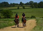 4 June 2020; Jockey Gary Halpin, right, and Neil Ryan on the gallops at the yard of horse racing trainer Kevin Prendergast in Firarstown in Kildare. Horse racing is due to return to Ireland behind closed doors on June 8, after racing was suspended in an effort to contain the spread of the Coronavirus (COVID-19) pandemic. Photo by Harry Murphy/Sportsfile