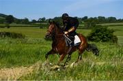 4 June 2020; Jockey Gary Halpin on the gallops at the yard of horse racing trainer Kevin Prendergast in Firarstown in Kildare. Horse racing is due to return to Ireland behind closed doors on June 8, after racing was suspended in an effort to contain the spread of the Coronavirus (COVID-19) pandemic. Photo by Harry Murphy/Sportsfile