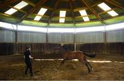 4 June 2020; Jockey Gary Halpin with Sestriere at the yard of horse racing trainer Kevin Prendergast in Firarstown in Kildare. Horse racing is due to return to Ireland behind closed doors on June 8, after racing was suspended in an effort to contain the spread of the Coronavirus (COVID-19) pandemic. Photo by Harry Murphy/Sportsfile