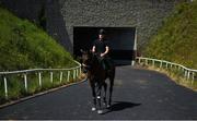 4 June 2020; Jockey Gary Halpin riding Territories on the gallops at The Curragh in Kildare. Horse racing is due to return to Ireland behind closed doors on June 8, after racing was suspended in an effort to contain the spread of the Coronavirus (COVID-19) pandemic. Photo by Harry Murphy/Sportsfile