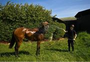 4 June 2020; Jockey Gary Halpin hoses down Sestriere at the yard of horse racing trainer Kevin Prendergast in Firarstown in Kildare. Horse racing is due to return to Ireland behind closed doors on June 8, after racing was suspended in an effort to contain the spread of the Coronavirus (COVID-19) pandemic. Photo by Harry Murphy/Sportsfile