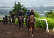 7 June 2020; Hugh Horgan riding Grand Master Flash on the gallops during a Joseph O'Brien Yard Visit at Owning Hill in Kilkenny. Horse racing is due to return to Ireland behind closed doors on June 8, after racing was suspended in an effort to contain the spread of the Coronavirus (COVID-19) pandemic. Photo by Harry Murphy/Sportsfile