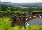 7 June 2020; A general view of horses on the gallops during a Joseph O'Brien Yard Visit at Owning Hill in Kilkenny. Horse racing is due to return to Ireland behind closed doors on June 8, after racing was suspended in an effort to contain the spread of the Coronavirus (COVID-19) pandemic. Photo by Harry Murphy/Sportsfile