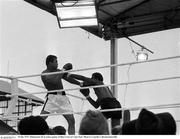 19 July 1972; Muhammad Ali in action against Al Blue Lewis at Croke Park. Photo by Connolly Collection/Sportsfile