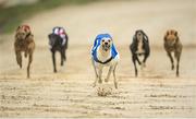 18 June 2020; Superior Tyson, centre, on the way to winning The Loch Graman Five-2-Five A2 Stakes at Enniscorthy Greyhound Stadium in Wexford. Greyhound racing across the Republic of Ireland returned, on 18 June, as restrictions on sporting events are relaxed during the Coronavirus (COVID-19) pandemic. Photo by Stephen McCarthy/Sportsfile