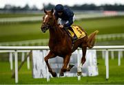 27 June 2020; Serpentine, with Wayne Lordan up, on their way to winning the Dubai Duty Free The Irish Village Irish EBF Maiden during day two of the Dubai Duty Free Irish Derby Festival at The Curragh Racecourse in Kildare. Horse Racing continues behind closed doors following strict protocols having been suspended from March 25 due to the Irish Government's efforts to contain the spread of the Coronavirus (COVID-19) pandemic. Photo by Seb Daly/Sportsfile