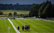 28 June 2020; Napa Valley, with Seamie Heffernan up, second from left, on their way to winning the Finlay Volvo Cars race during day three of the Dubai Duty Free Irish Derby Festival at The Curragh Racecourse in Kildare. Horse Racing continues behind closed doors following strict protocols having been suspended from March 25 due to the Irish Government's efforts to contain the spread of the Coronavirus (COVID-19) pandemic. Photo by David Fitzgerald/Sportsfile