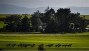 28 June 2020; A view of the field during the Irish Stallion Farms EBF Handicap race during day three of the Dubai Duty Free Irish Derby Festival at The Curragh Racecourse in Kildare. Horse Racing continues behind closed doors following strict protocols having been suspended from March 25 due to the Irish Government's efforts to contain the spread of the Coronavirus (COVID-19) pandemic. Photo by David Fitzgerald/Sportsfile