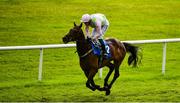 28 June 2020; Sharjah, with Billy Lee up, on their way to finishing fourth in the Irish Stallion Farms EBF Handicap race during day three of the Dubai Duty Free Irish Derby Festival at The Curragh Racecourse in Kildare. Horse Racing continues behind closed doors following strict protocols having been suspended from March 25 due to the Irish Government's efforts to contain the spread of the Coronavirus (COVID-19) pandemic. Photo by David Fitzgerald/Sportsfile