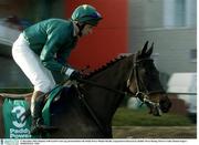 27 December 2003; Hannon, with Gareth Cotter up, pictured before the Paddy Power Maiden Hurdle, Leopardstown Racecourse, Dublin. Horse Racing. Picture Credit; Damien Eagers / SPORTSFILE *EDI*