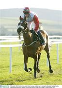 29 December 2003; Golden Cross, with Adrian Lane up, on their way to winning the December Festival Hurdle, Leopardstown Racecourse, Dublin. Horse Racing. Picture Credit; David Maher / SPORTSFILE *EDI*