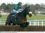 29 December 2003; Munster, with Conor O'Dwyer up, jumps the last during the Coyle Hamilton Beginners Steeplechase, Leopardstown Racecourse, Dublin. Horse Racing. Picture Credit; David Maher / SPORTSFILE *EDI*