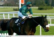 29 December 2003; Munster, with Conor O'Dwyer up, during the Coyle Hamilton Beginners Steeplechase, Leopardstown Racecourse, Dublin. Horse Racing. Picture Credit; David Maher / SPORTSFILE *EDI*