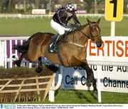 29 December 2003; Delgany Toulon, with David Casey up, clears the last during the Madigans Handicap Hurdle, Leopardstown Racecourse, Dublin. Horse Racing. Picture Credit; David Maher / SPORTSFILE *EDI*